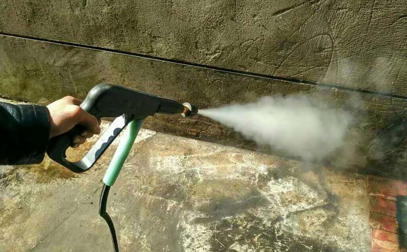 steam cleaner, floor and steam cleaners, carpet cleaner, carpet cleaning