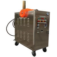 CW-07A20/08A20/09A20 LPG steam cleaning machine operation video