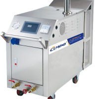 Mobile steam car wash business