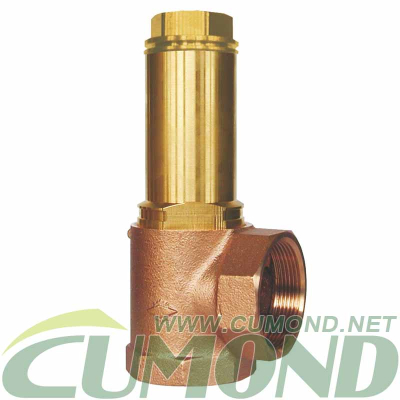 Safety Valve